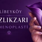 alibeyköy kızlık zarı dikimi